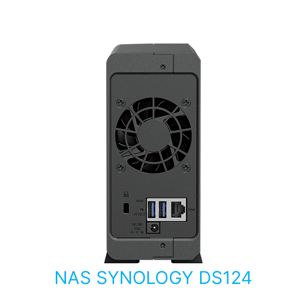 synology ds124 2